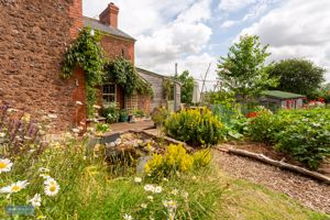 Photo 39- click for photo gallery